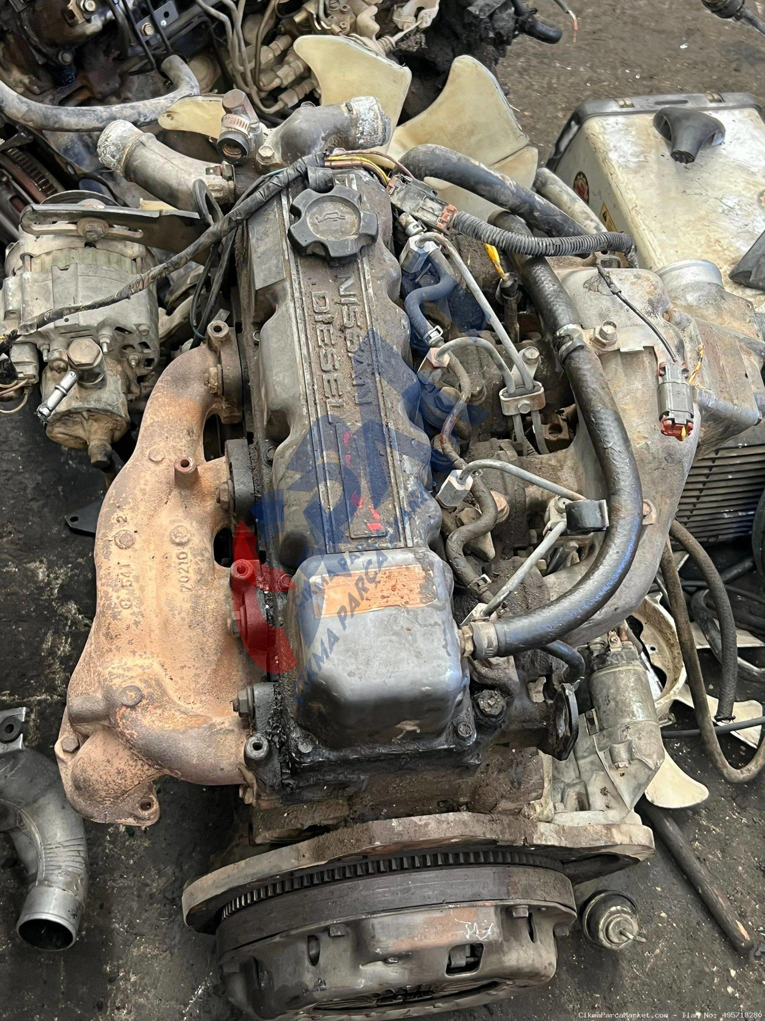 1999 2024 Nissan Pathfinder BD 30 Komple Motor
