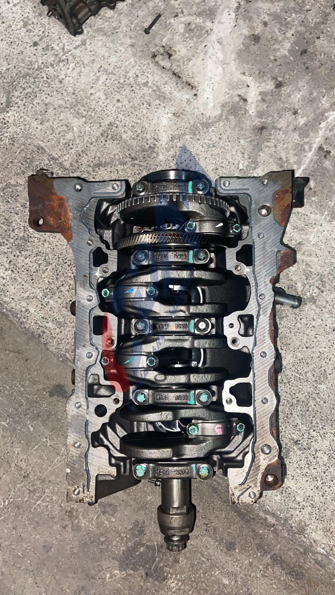 2014 2025 Nissan Navara D23 YARIM MOTOR  Yarım Motor 10102 00Q9M