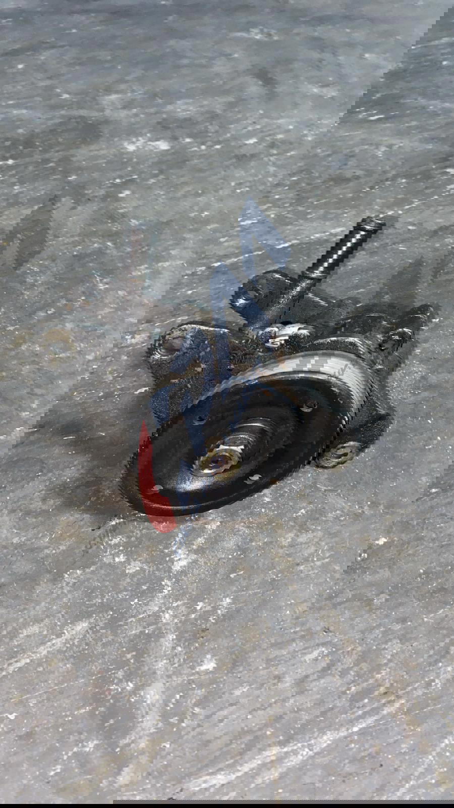 1992 2002 Nissan Micra Direksiyon pompası Direksiyon Pompası 4911041B11