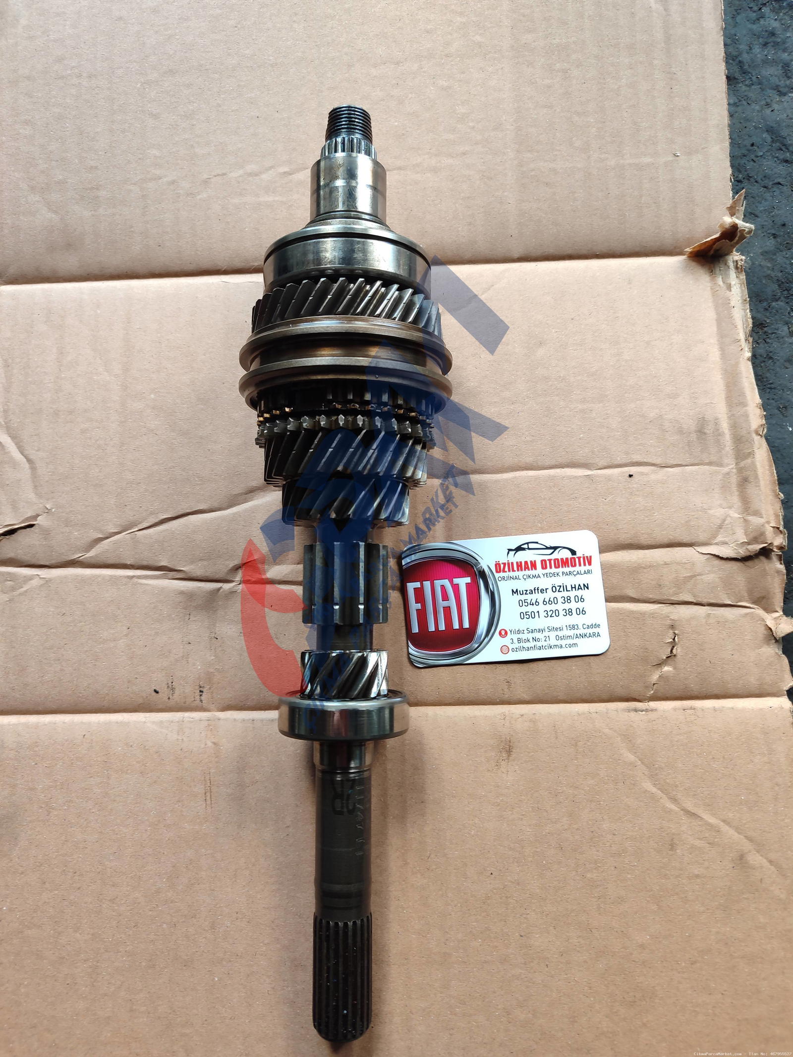 2004 2024 Fiat Linea Fiorino Egea Albea Dişli